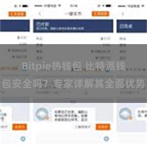 Bitpie热钱包 比特派钱包安全吗？专家详解其全面优势