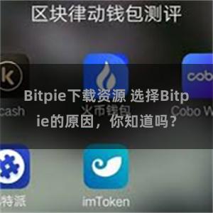 Bitpie下载资源 选择Bitpie的原因，你知道吗？