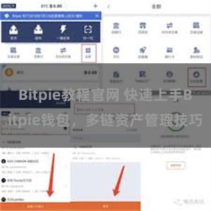 Bitpie教程官网 快速上手Bitpie钱包，多链资产管理技巧