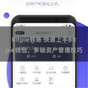 Bitpie转账 快速上手Bitpie钱包，多链资产管理技巧