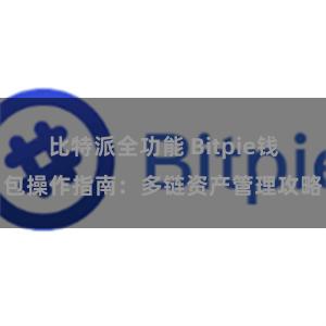 比特派全功能 Bitpie钱包操作指南：多链资产管理攻略