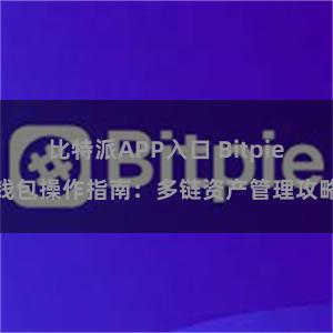 比特派APP入口 Bitpie钱包操作指南：多链资产管理攻略