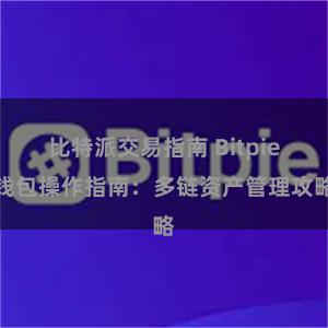 比特派交易指南 Bitpie钱包操作指南：多链资产管理攻略