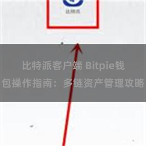 比特派客户端 Bitpie钱包操作指南：多链资产管理攻略