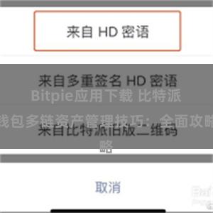 Bitpie应用下载 比特派钱包多链资产管理技巧：全面攻略