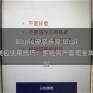 Bitpie安装步骤 Bitpie钱包使用技巧：多链资产管理全攻略