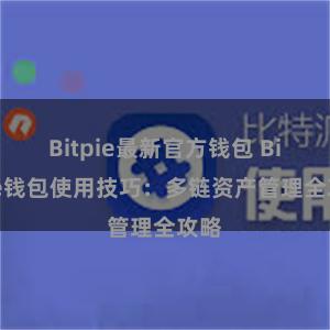 Bitpie最新官方钱包 Bitpie钱包使用技巧：多链资产管理全攻略