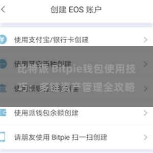 比特派 Bitpie钱包使用技巧：多链资产管理全攻略