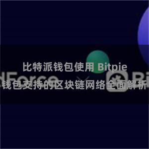 比特派钱包使用 Bitpie钱包支持的区块链网络全面解析