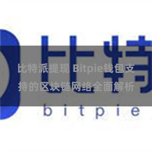 比特派提现 Bitpie钱包支持的区块链网络全面解析