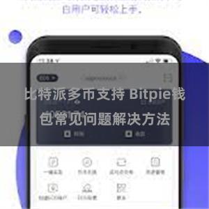 比特派多币支持 Bitpie钱包常见问题解决方法