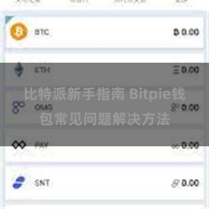 比特派新手指南 Bitpie钱包常见问题解决方法