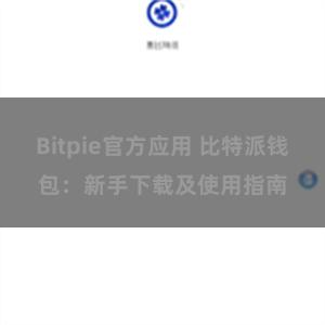 Bitpie官方应用 比特派钱包：新手下载及使用指南