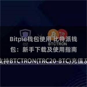 Bitpie钱包使用 比特派钱包：新手下载及使用指南