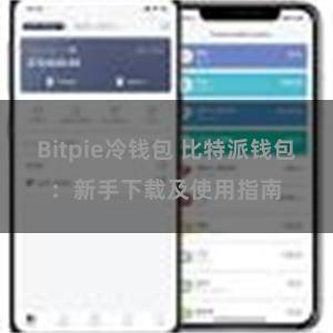 Bitpie冷钱包 比特派钱包：新手下载及使用指南