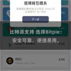 比特派支持 选择Bitpie：安全可靠，便捷易用。