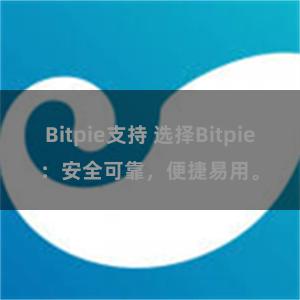 Bitpie支持 选择Bitpie：安全可靠，便捷易用。