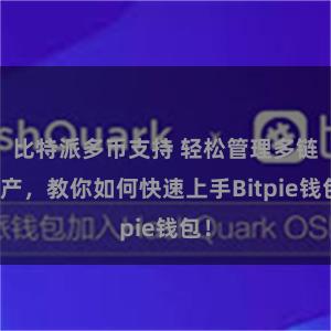 比特派多币支持 轻松管理多链资产，教你如何快速上手Bitpie钱包！