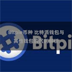 Bitpie币种 比特派钱包与其他钱包的区别解析