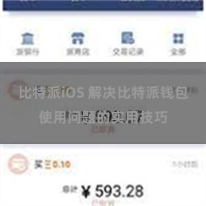 比特派iOS 解决比特派钱包使用问题的实用技巧