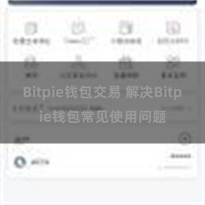 Bitpie钱包交易 解决Bitpie钱包常见使用问题