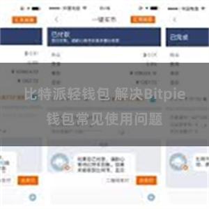 比特派轻钱包 解决Bitpie钱包常见使用问题