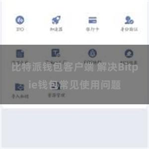 比特派钱包客户端 解决Bitpie钱包常见使用问题