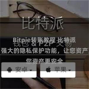 Bitpie转账教程 比特派钱包：强大的隐私保护功能，让您资产更安全