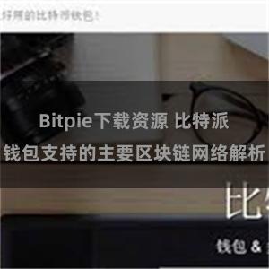 Bitpie下载资源 比特派钱包支持的主要区块链网络解析