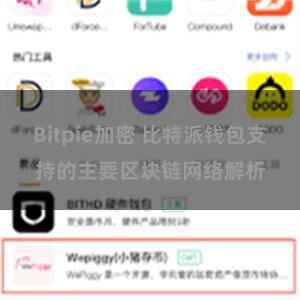 Bitpie加密 比特派钱包支持的主要区块链网络解析