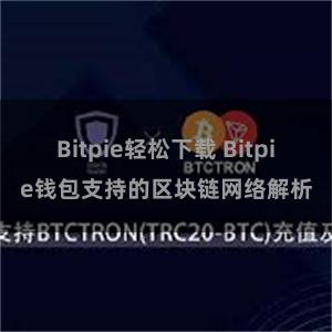 Bitpie轻松下载 Bitpie钱包支持的区块链网络解析