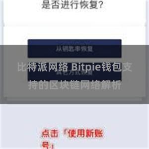 比特派网络 Bitpie钱包支持的区块链网络解析