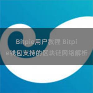 Bitpie用户教程 Bitpie钱包支持的区块链网络解析