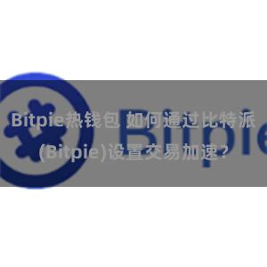 Bitpie热钱包 如何通过比特派(Bitpie)设置交易加速？