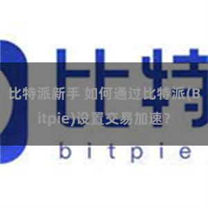 比特派新手 如何通过比特派(Bitpie)设置交易加速？