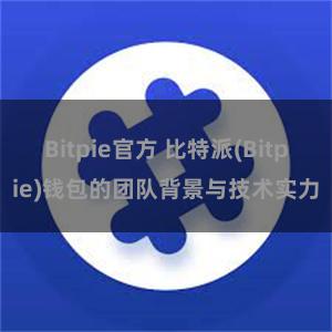 Bitpie官方 比特派(Bitpie)钱包的团队背景与技术实力