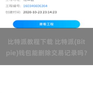 比特派教程下载 比特派(Bitpie)钱包能删除交易记录吗？