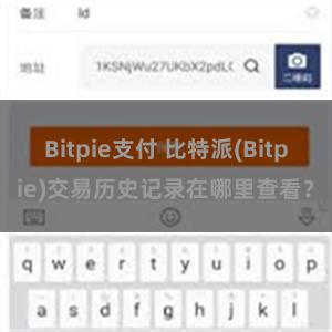 Bitpie支付 比特派(Bitpie)交易历史记录在哪里查看？