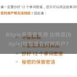 Bitpie多语言支持 比特派(Bitpie)钱包适合何种用户？