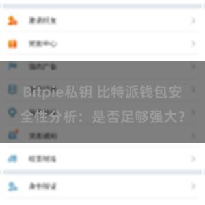 Bitpie私钥 比特派钱包安全性分析：是否足够强大？