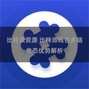 比特派资源 比特派钱包多链生态优势解析