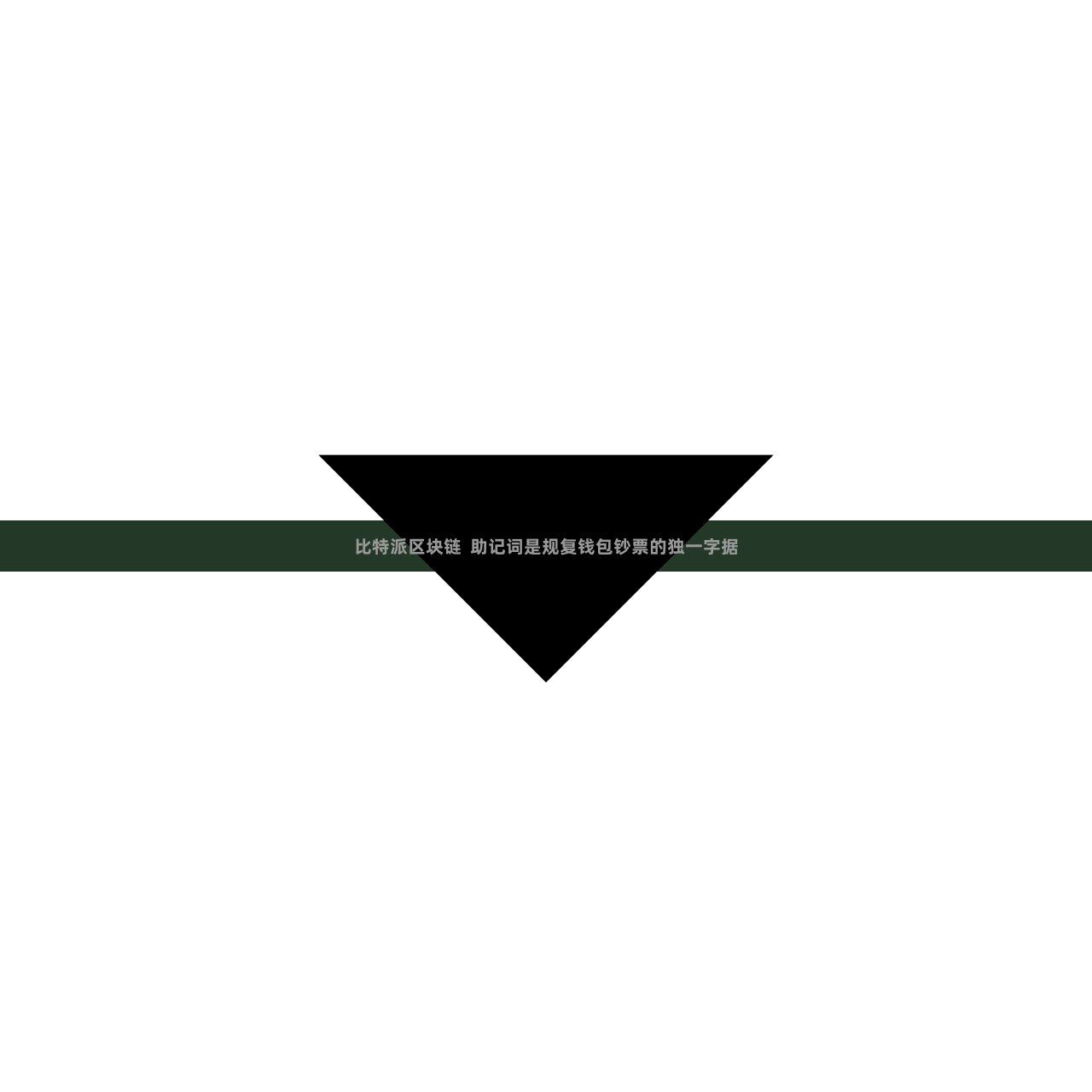 比特派区块链  助记词是规复钱包钞票的独一字据