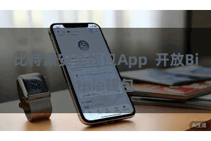 比特派安全钱包App  开放Bitpie钱包