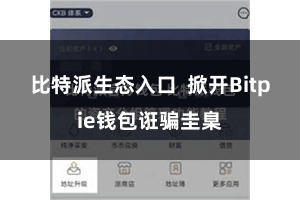 比特派生态入口  掀开Bitpie钱包诳骗圭臬