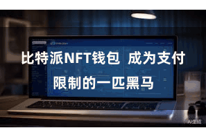 比特派NFT钱包  成为支付限制的一匹黑马
